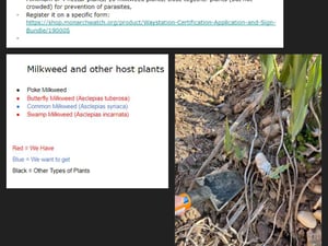 2023 green school app final (4)